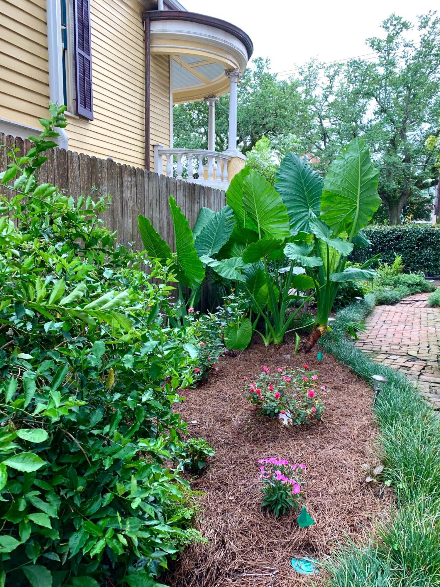 ניו אורלינס French Quarter Lanaux Mansion Bed And Breakfast חדר תמונה